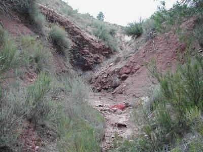 Imagen de Camporrobles mapa 46330 4 