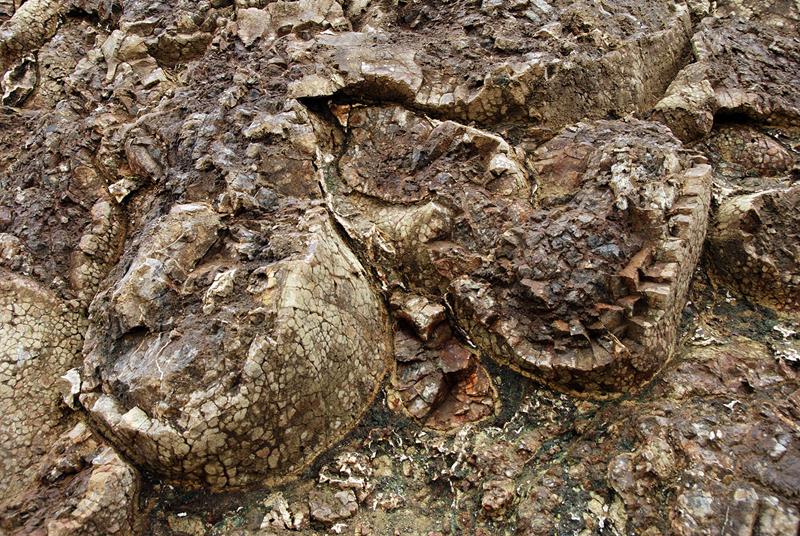 Imagen de Campotéjar mapa 18565 2 