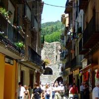 Imagen de Camprodon mapa 17867 6 