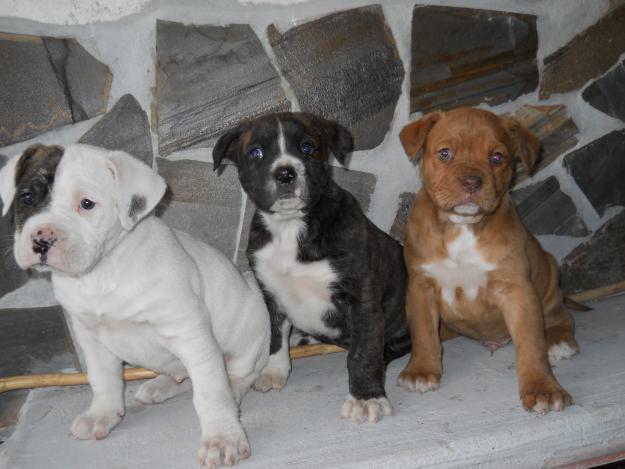 Imagen de Cáñar mapa 18418 2 