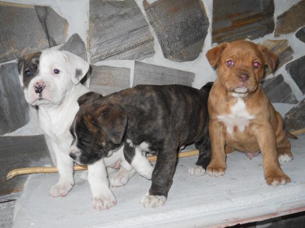 Imagen de Cáñar mapa 18418 6 