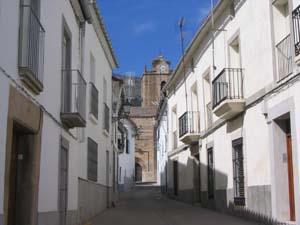 Imagen de Cañaveral mapa 10820 3 