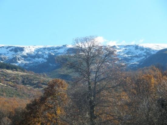 Imagen de Candelario mapa 37710 3 
