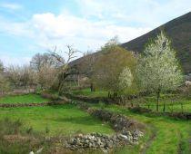 Imagen de Candín mapa 24433 4 