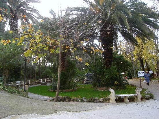 Imagen de Canena mapa 23420 5 