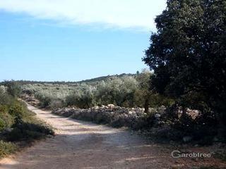 Imagen de Canet lo Roig mapa 12350 5 