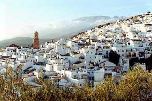 Imagen de Canillas de Aceituno mapa 29716 5 