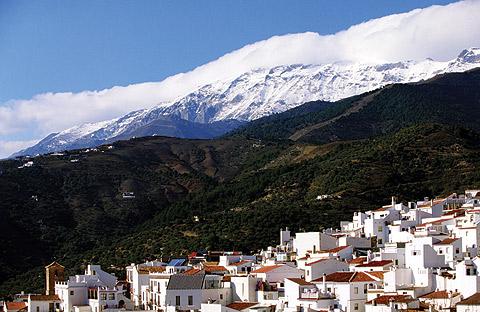 Imagen de Canillas de Albaida mapa 29755 2 