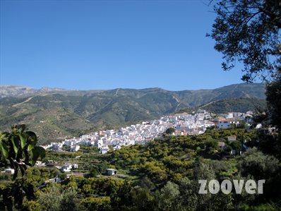 Imagen de Canillas de Albaida mapa 29755 4 
