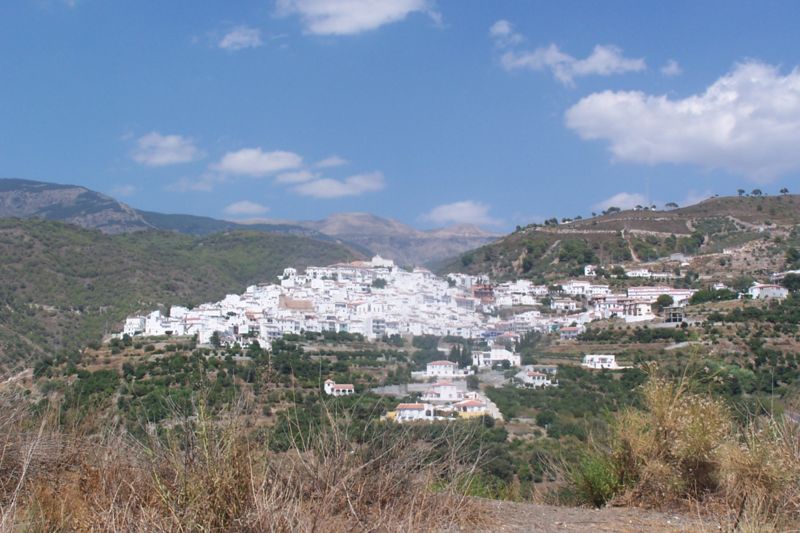 Imagen de Canillas de Albaida mapa 29755 6 
