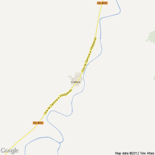 Imagen de Cañizo mapa 49128 1 