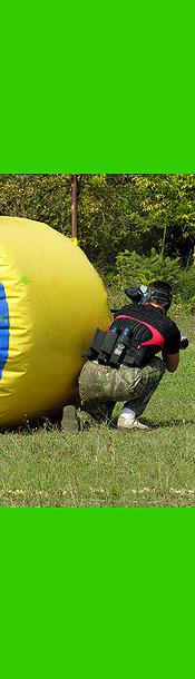 Imagen de Cañizo mapa 49128 4 