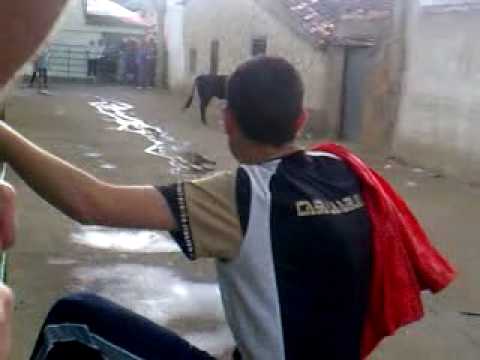 Imagen de Cañizo mapa 49128 5 