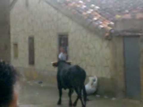 Imagen de Cañizo mapa 49128 6 