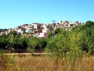 Imagen de Capçanes mapa 43776 3 