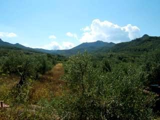 Imagen de Capçanes mapa 43776 5 