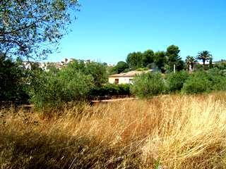 Imagen de Capçanes mapa 43776 6 