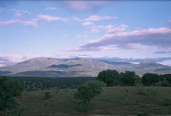 Imagen de Cardiel de los Montes mapa 45642 3 