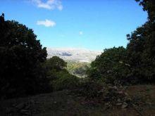 Imagen de Cartajima mapa 29452 6 