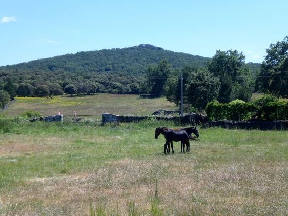 Imagen de Casafranca mapa 37767 6 
