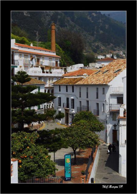 Imagen de Casarabonela mapa 29566 5 