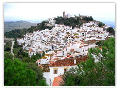 Imagen de Casares mapa 29690 5 