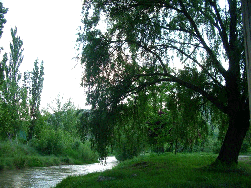 Imagen de Casas Bajas mapa 46146 4 