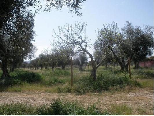 Imagen de Casas de Don Antonio mapa 10162 2 