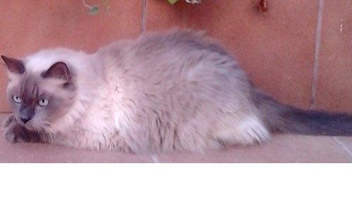 Imagen de Casas de Ves mapa 02212 6 