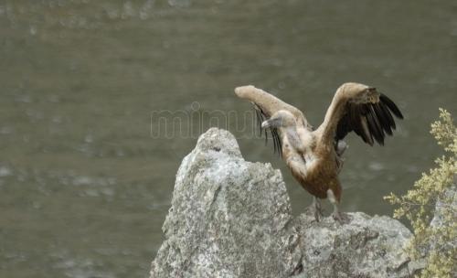 Imagen de Casas del Monte mapa 10730 6 