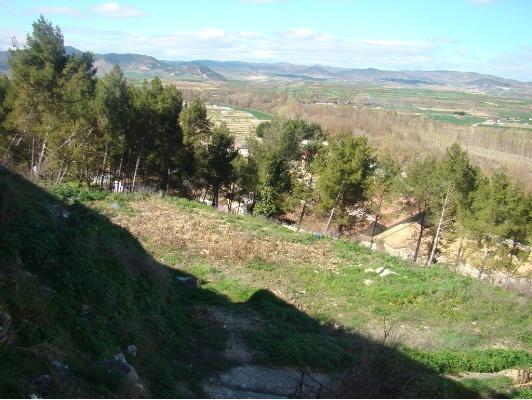 Imagen de Cáseda mapa 31490 3 