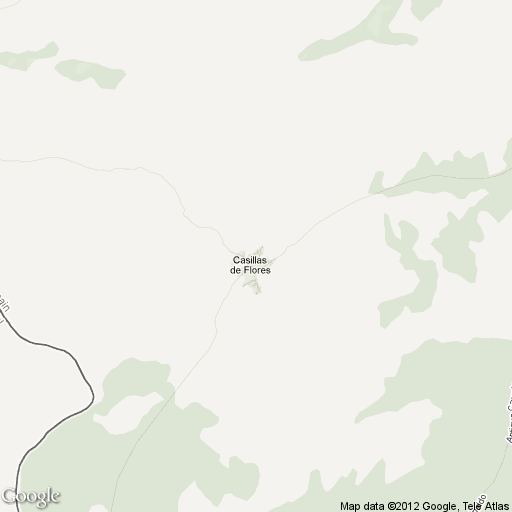 Imagen de Casillas de Flores mapa 37541 1 
