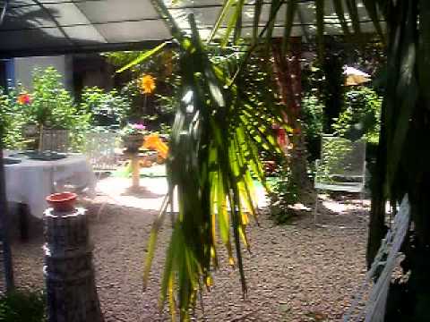 Imagen de Castejón de las Armas mapa 50211 5 