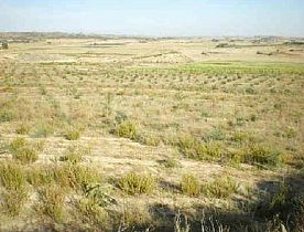 Imagen de Castelló de Farfanya mapa 25136 2 