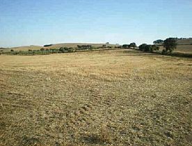 Imagen de Castelló de Farfanya mapa 25136 3 