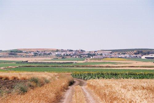Imagen de Castilleja del Campo mapa 41810 3 