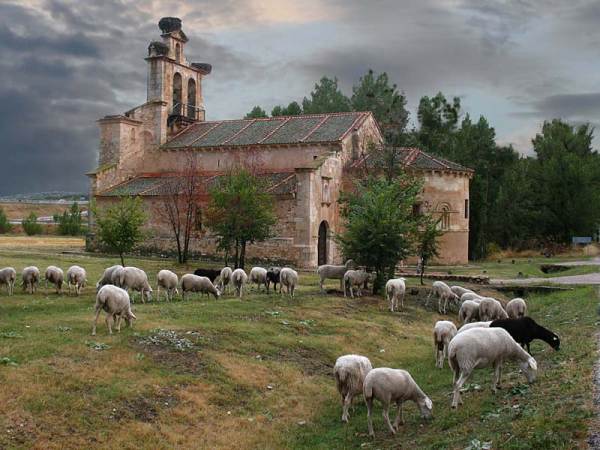 Imagen de Castillejo de Mesleón mapa 40593 2 