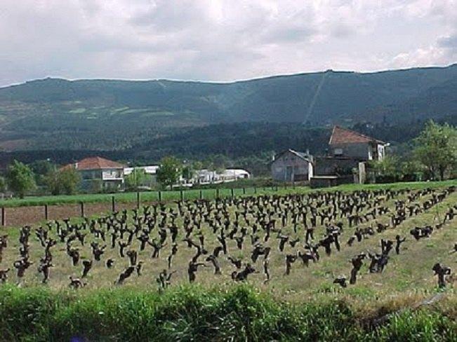 Imagen de Castrelo do Val mapa 32625 2 