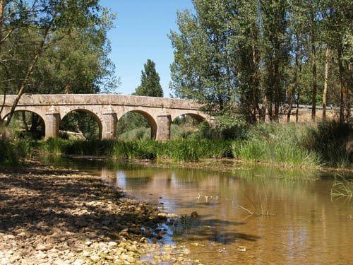 Imagen de Castrillo de Villavega mapa 34478 4 