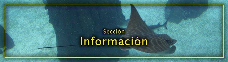 Imagen de Castropodame mapa 24314 4 