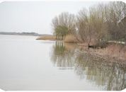 Imagen de Cazalegas mapa 45683 5 