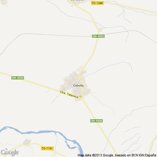 Imagen de Cebolla mapa 45680 1 