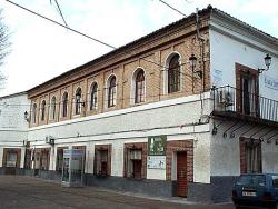 Imagen de Cebolla mapa 45680 2 