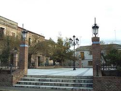 Imagen de Cebolla mapa 45680 6 