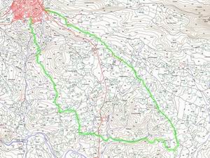 Imagen de Cebreros mapa 05260 3 