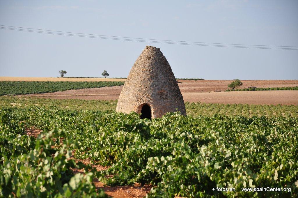 Imagen de Cenizate mapa 02247 6 