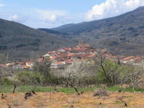 Imagen de Cepeda mapa 37656 3 