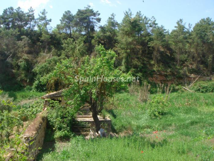 Imagen de Cervià de les Garrigues mapa 25460 1 