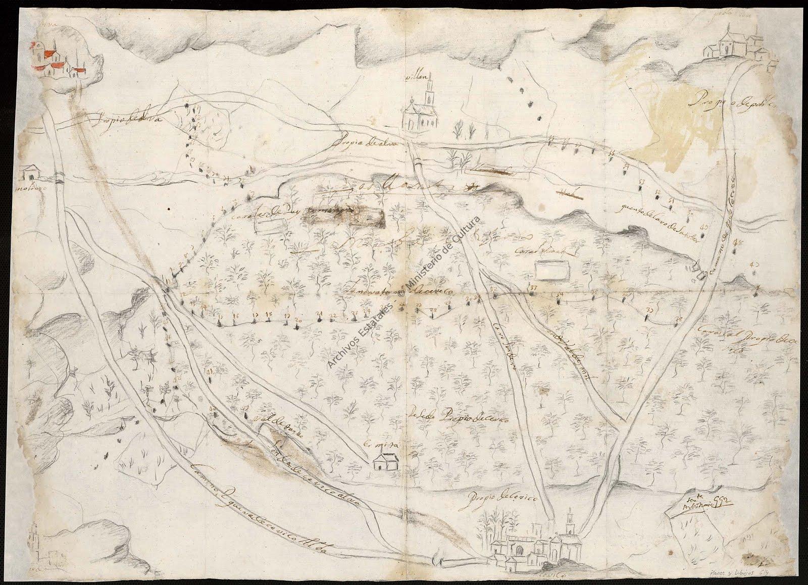 Imagen de Cevico de la Torre mapa 34218 4 