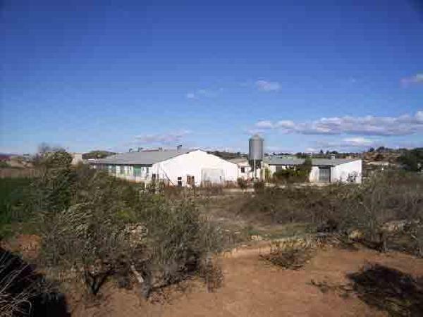 Imagen de Chella mapa 46821 4 